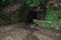 246: DSC_0455