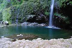 252: DSC_0462