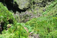 261: DSC_0479