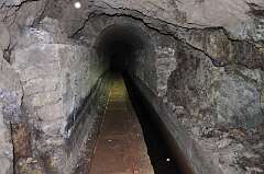 273: DSC_0495