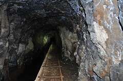 274: DSC_0497