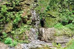 276: DSC_0499