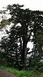 285: DSC_0510-515