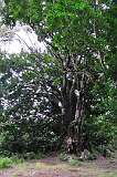 286: DSC_0516