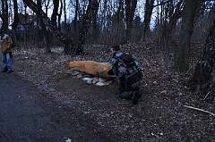 38: DSC_0356