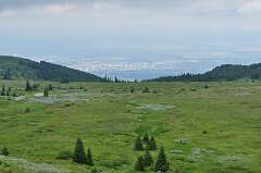 5: DSC_0011