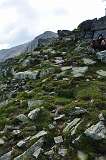 107: DSC_0193