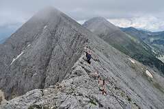 117: DSC_0203