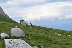 126: DSC_0235