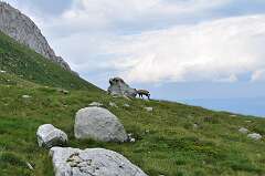 127: DSC_0236