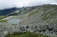140: DSC_0265