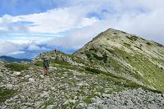 141: DSC_0266