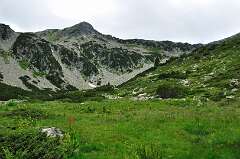 146: DSC_0271