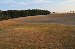 11: DSC_0364