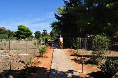 23: DSC_0037