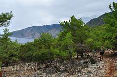 111: DSC_0172