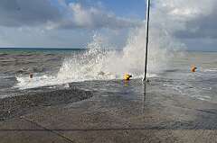 116: DSC_0178