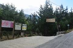 148: DSC_0218