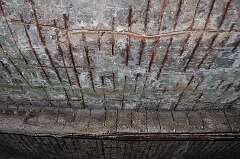 167: DSC_0245