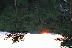 20: DSC_0031