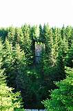 46: DSC_0075