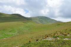 51: DSC_0084