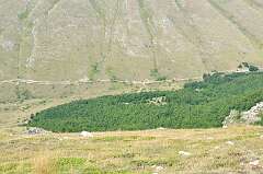 144: DSC_0284