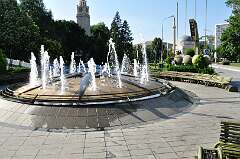 175: DSC_0354