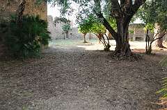 25: DSC_0044