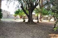 26: DSC_0045