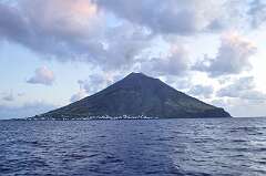 119: DSC_0203
