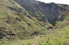 148: DSC_0262