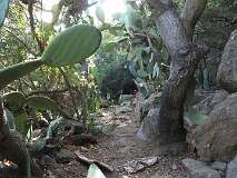 205: IMG_7580