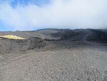 212: IMG_7662