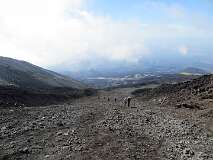 215: IMG_7665