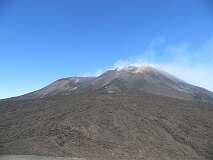 236: IMG_7689