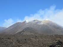 242: IMG_7696