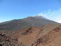 245: IMG_7699