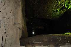 44: DSC_0397