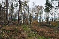 12: DSC_0111