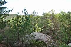 12: DSC_0026