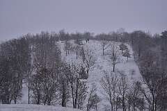 3: DSC_2473