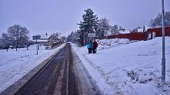 18: DSC_2494