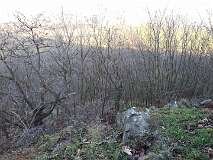 9: IMG_20200101_095259701