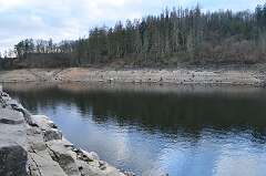 19: DSC_0115