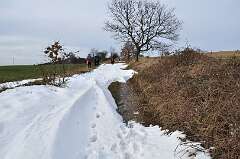 15: DSC_0052