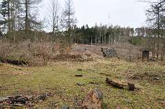 79: DSC_0161