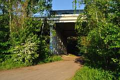 10: DSC_0127