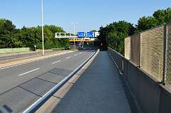 78: DSC_0135