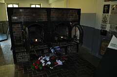 96: DSC_0162